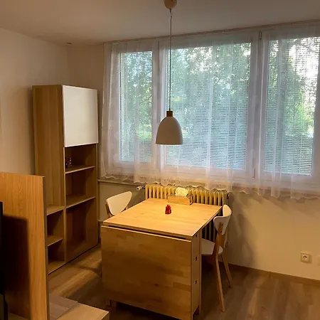 Utulny Pro Odpocinek I Praci Apartman