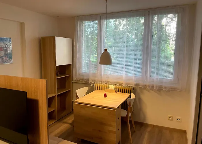 Utulny Pro Odpocinek I Praci Apartman
